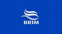 Brim hf
